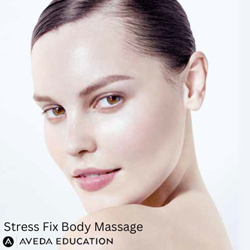 Moncton, NB - Aveda Stress Fix Body Massage - October 21st, 2025